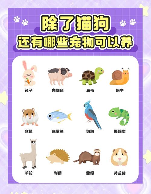 除了猫狗，这些宠物同样值得你倾心